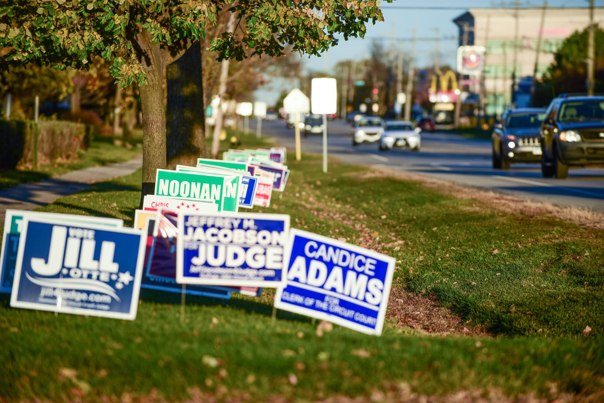 Political Signs