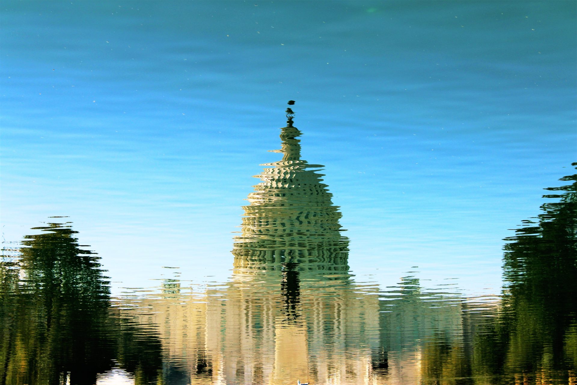 US Capitol building reflection in water