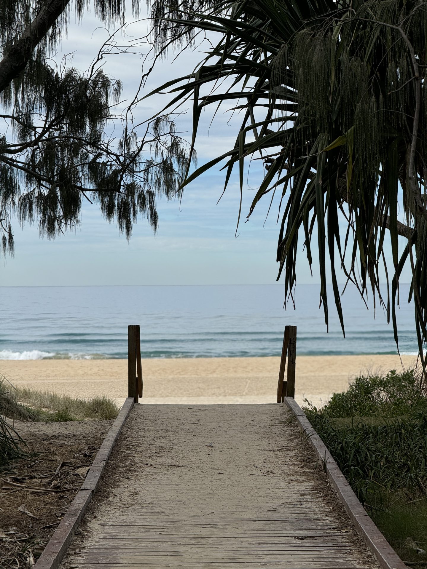 A wooden path leading through some vegetation onto a sandy beach.