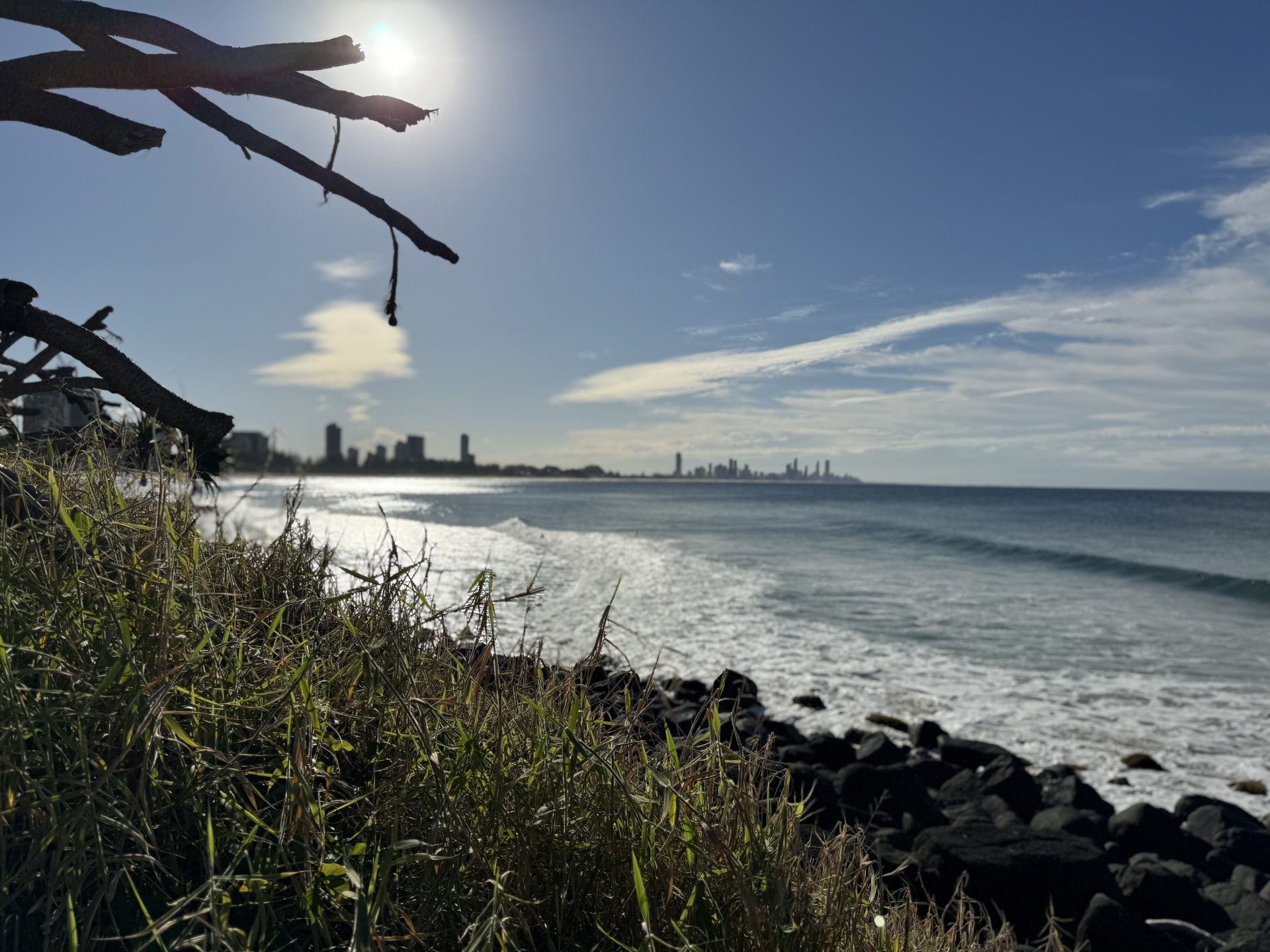 A beach with vegetation and some rocks by the shore with a city in the distance.