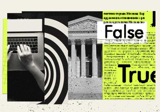 240322-disinformation-research-lr-0719bd